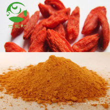 High quality organic goji powder